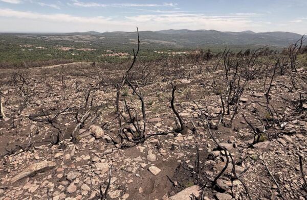 Vista de los montes de La Alberca tras los incendios, con vegetación quemada.