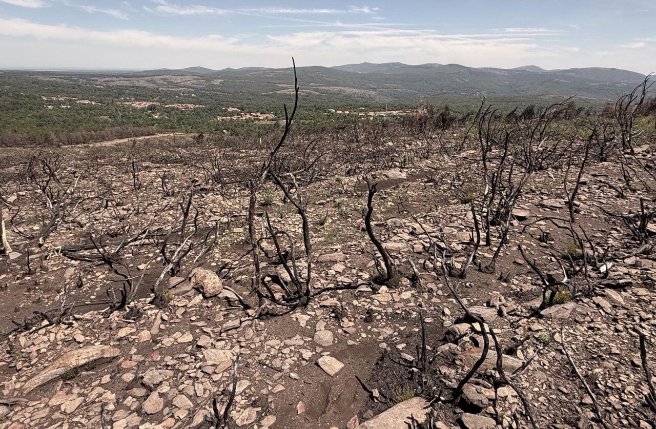 Vista de los montes de La Alberca tras los incendios, con vegetación quemada.