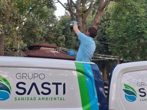 Técnico instalando trampas para avispas en un parque