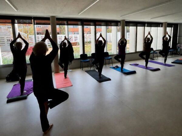 Grupo de personas mayores realizando ejercicios de yoga en un salón