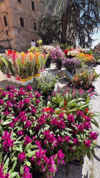 Flores de diferentes colores en el certamen de artesanía floral en Salamanca