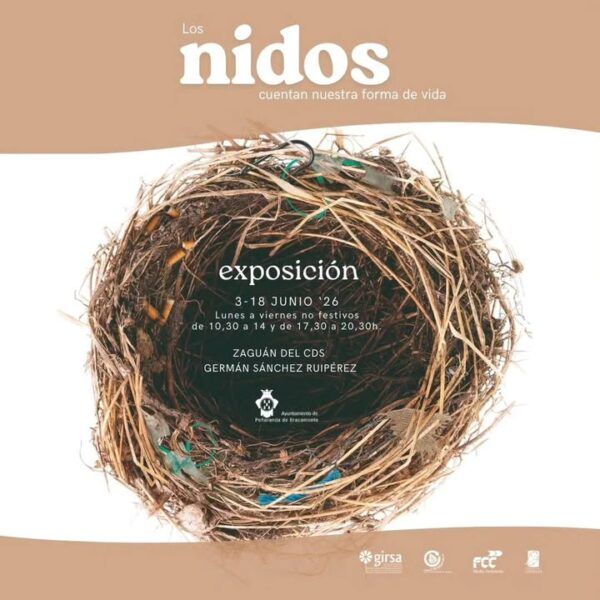 Cartel de la exposición sobre nidos en Peñaranda de Bracamonte