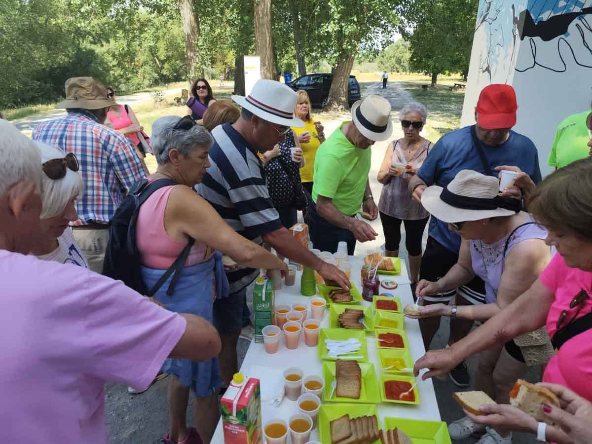 Participantes disfrutando de un desayuno saludable en La Isla del Soto