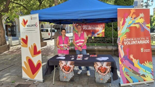Evento de voluntariado en la Plaza de los Bandos en Salamanca