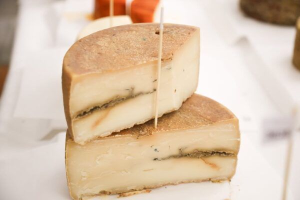 Dos piezas de queso de Castilla y León en una presentación.