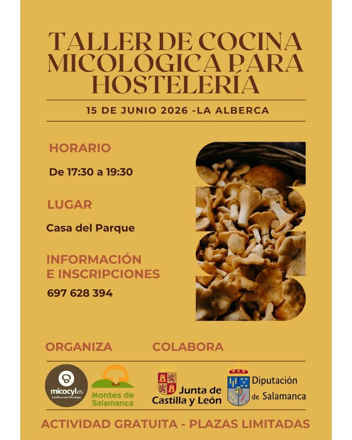 Cartel del taller de cocina micológica en La Alberca con setas.