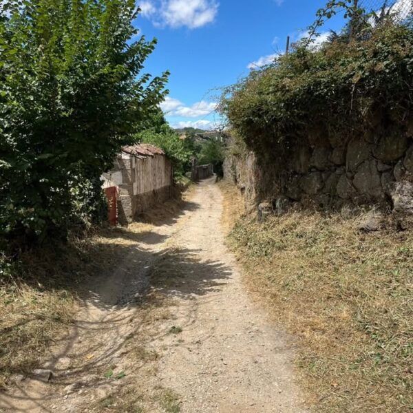 Camino rural en Béjar con vegetación y limpieza reciente