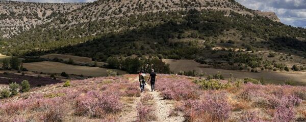 Personas caminando por un paisaje de Castilla y León con flores moradas