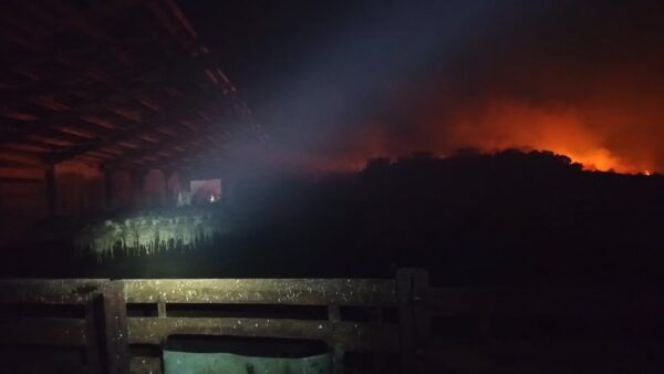 Bomberos protegiendo una nave ganadera durante un incendio en Sayago