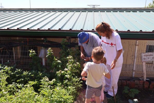 Personas trabajando en un huerto ecosocial de Cruz Roja en Salamanca