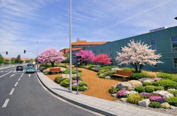 Parterres con flores y árboles en un entorno urbano cerca de un hospital