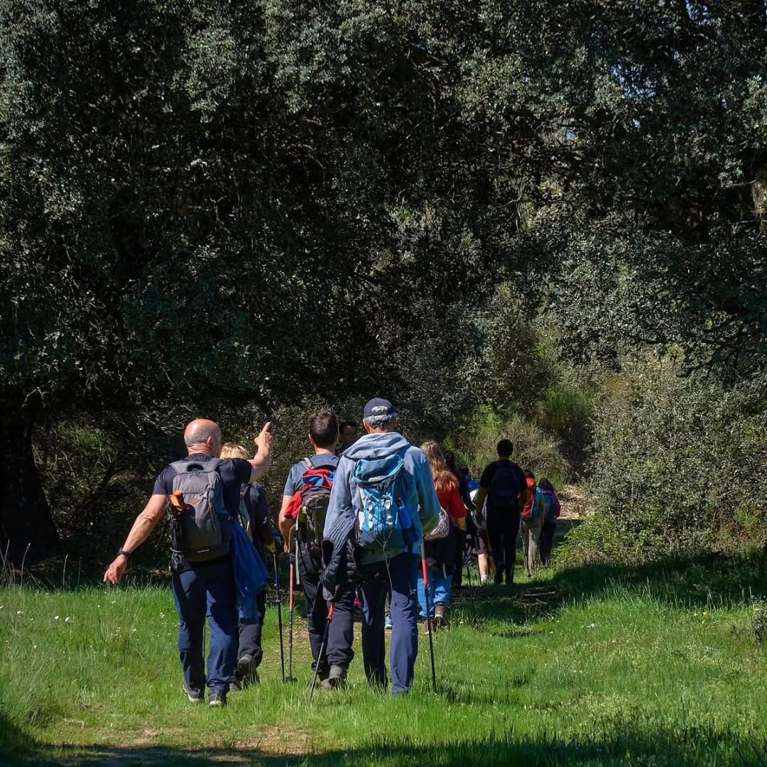 Grupo de personas caminando por un sendero en Peñaranda de Bracamonte