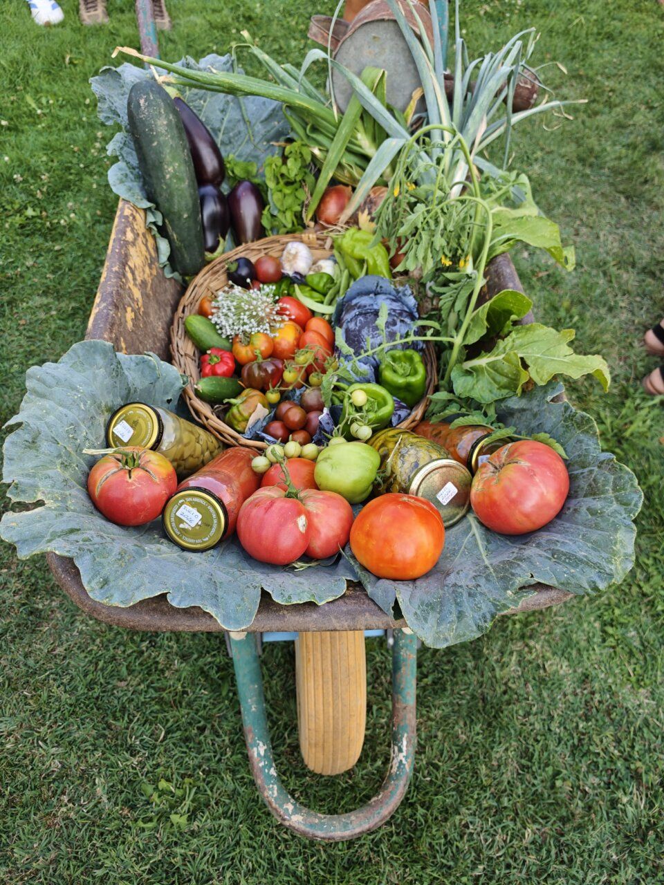 Cesta ganadora con verduras y hortalizas en un concurso de huertos