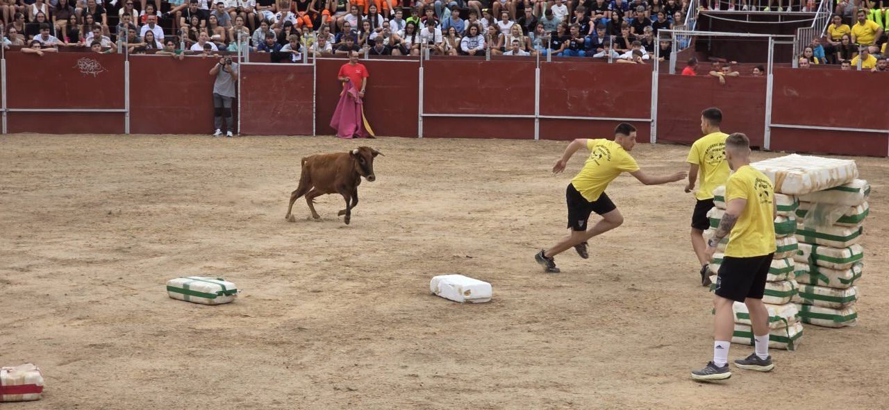 Participantes corriendo durante el Carbajosa Prix con vaquillas