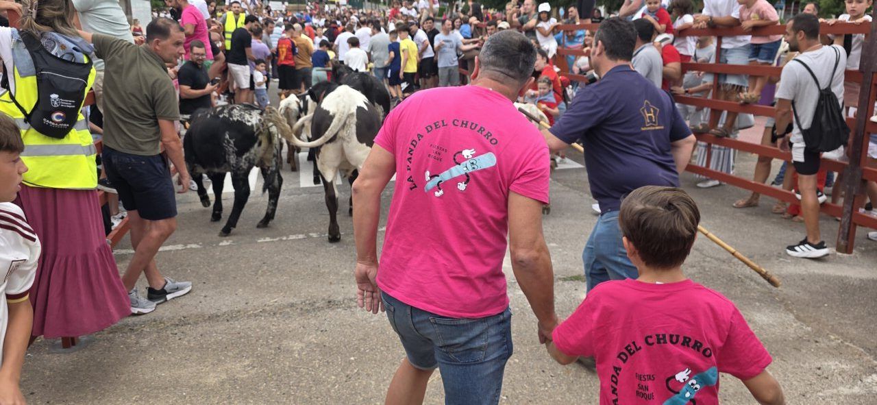 Familias disfrutando del encierro de mini bueyes en Carbajosa de la Sagrada