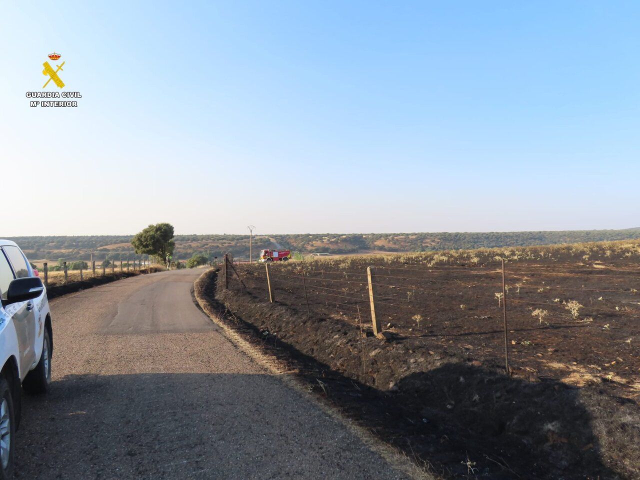 Vista de un camino junto a un área afectada por un incendio forestal