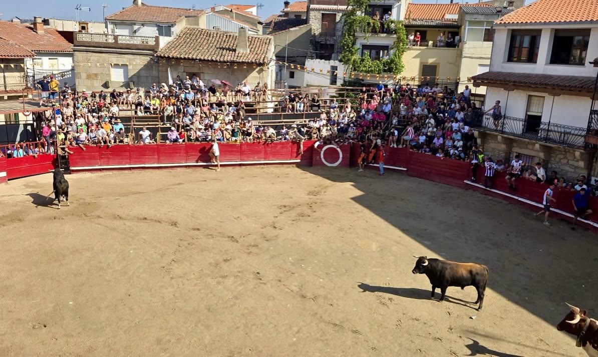 Multitud de personas observando un encierro en Villarino de los Aires