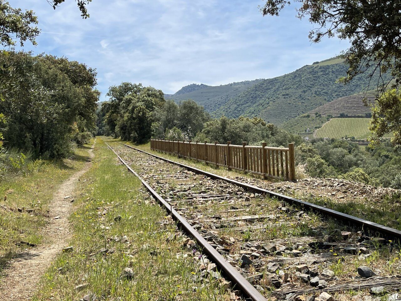 Tramo del Camino de Hierro rodeado de vegetación y montañas