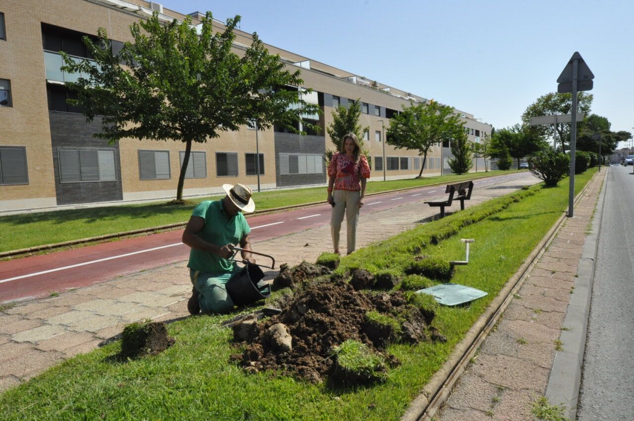 Trabajadores instalando un sistema de riego en Santa Marta de Tormes