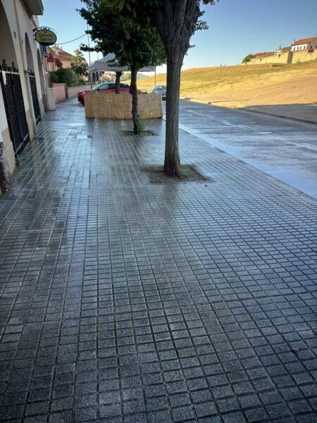 Calle de Ciudad Rodrigo limpia tras la Feria del Caballo