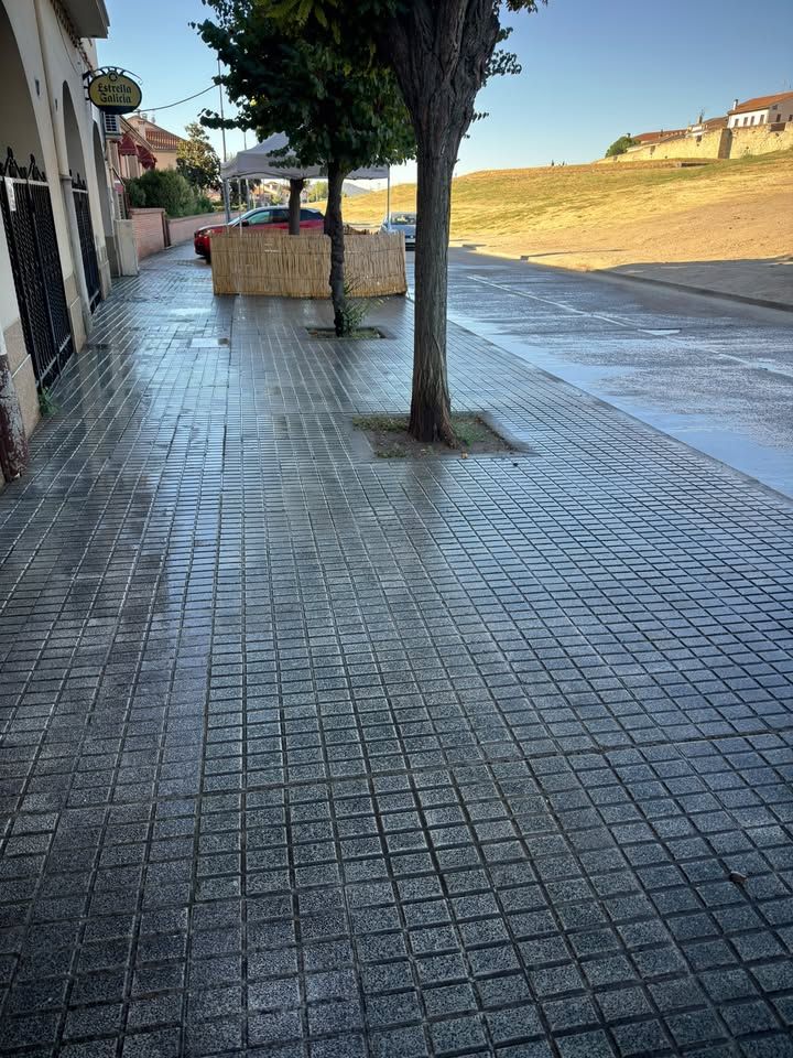 Calle de Ciudad Rodrigo limpia tras la Feria del Caballo