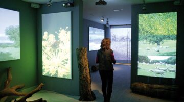Descubre el Museo de la Industria Chacinera de Guijuelo: Tradición y Modernidad en un Solo Espacio