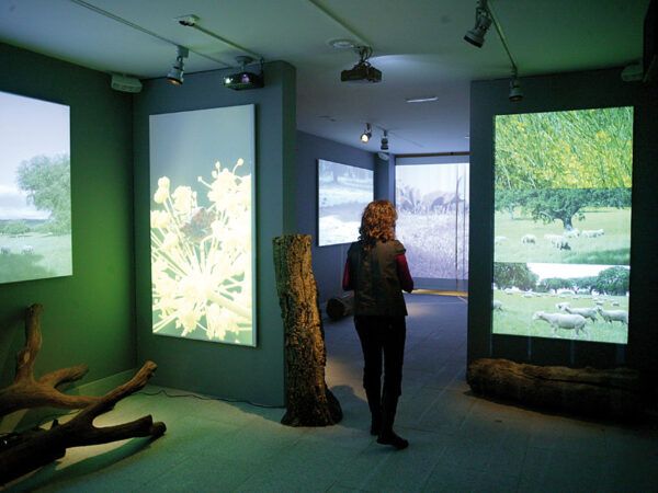 Visita al Museo de la Industria Chacinera con proyecciones audiovisuales