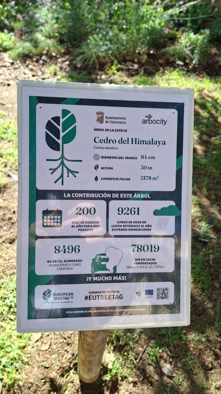 Etiqueta informativa sobre el Cedro del Himalaya en Salamanca