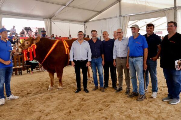 Grupo de personas junto a una vaca premiada en una subasta