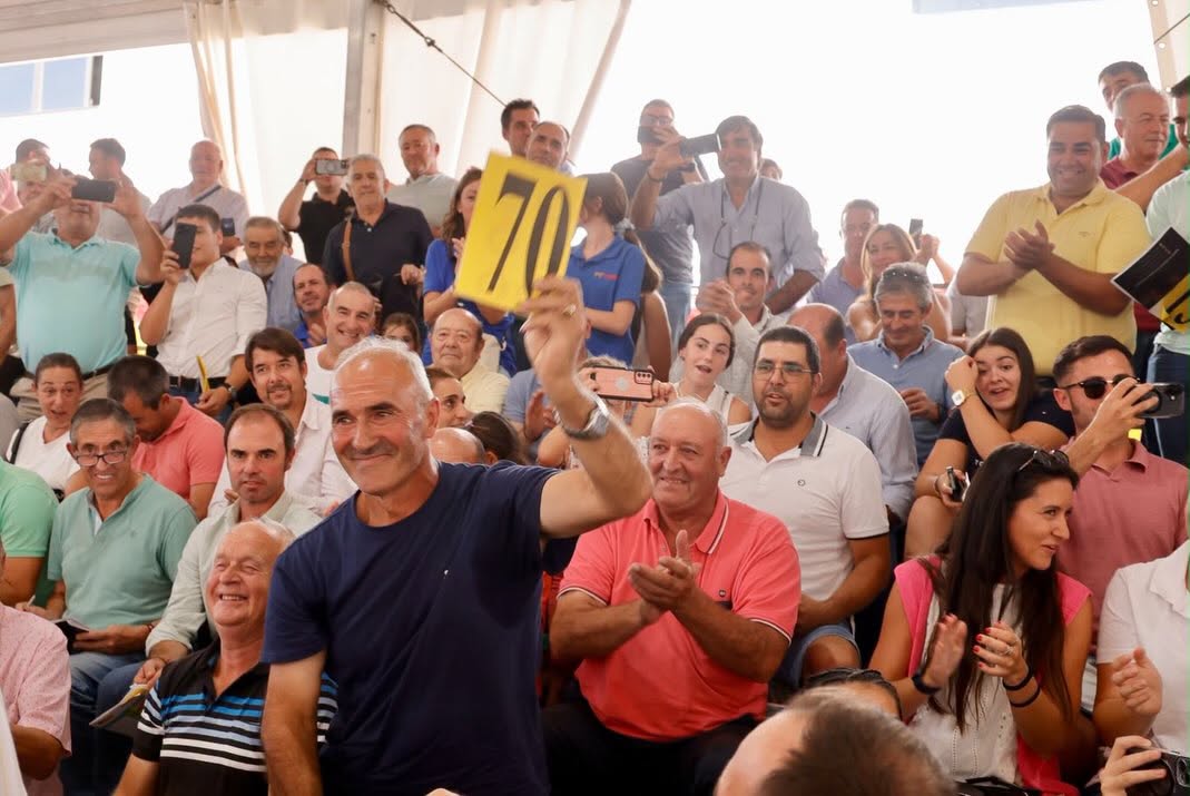 Participantes en la subasta de SALAMAQ levantando carteles de puja.