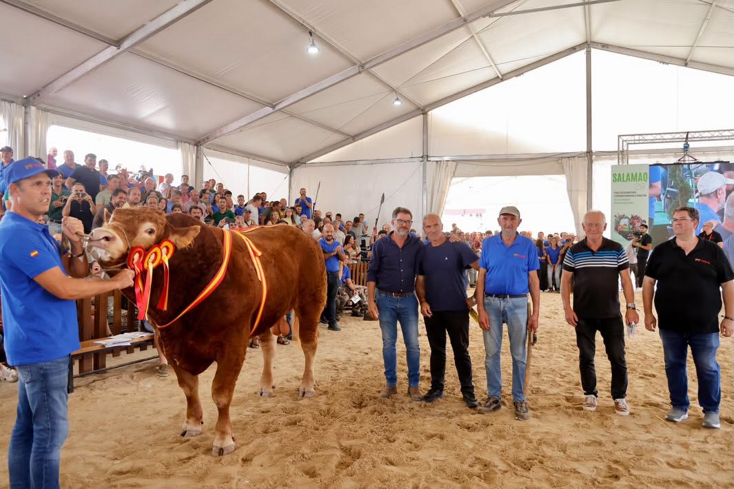 Ganadería en la subasta SALAMAQ con un récord de 30200 euros.