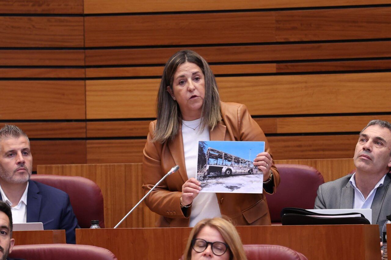 Procuradora del PSOE mostrando una imagen en las Cortes de Castilla y León