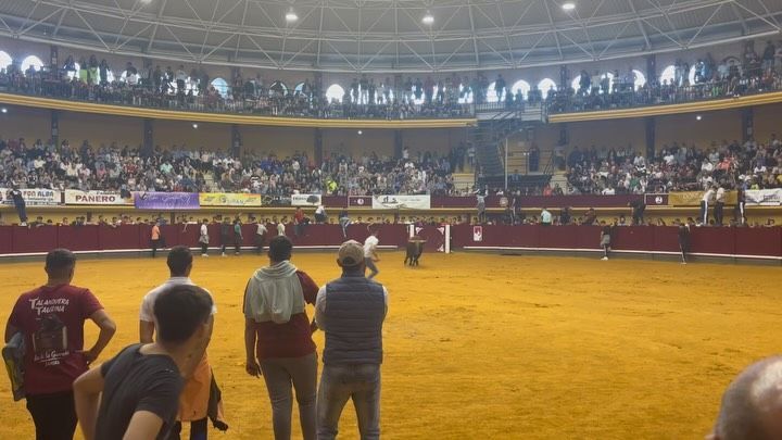 Primera capeas popular con charanga en Alba de Tormes