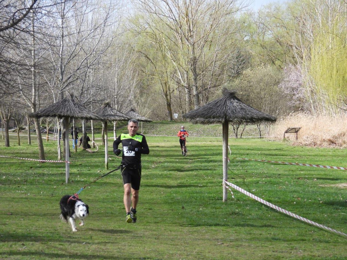 Corredor participa en una carrera de canicross junto a su perro en un parque