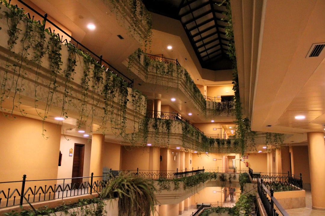Interior de un hotel con plantas decorativas en Peñaranda de Bracamonte