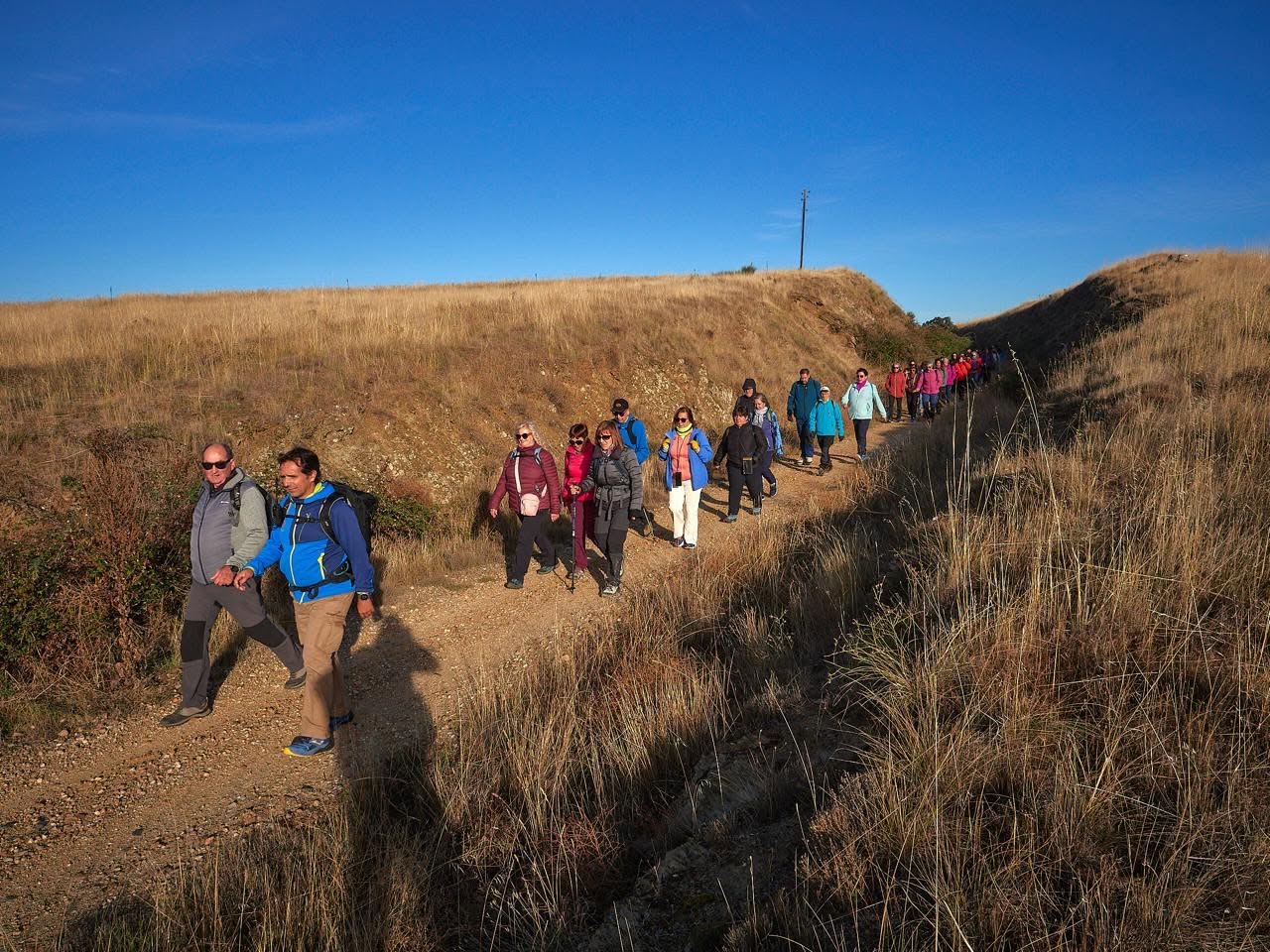 Un grupo de personas camina por un sendero de tierra entre hierba seca.