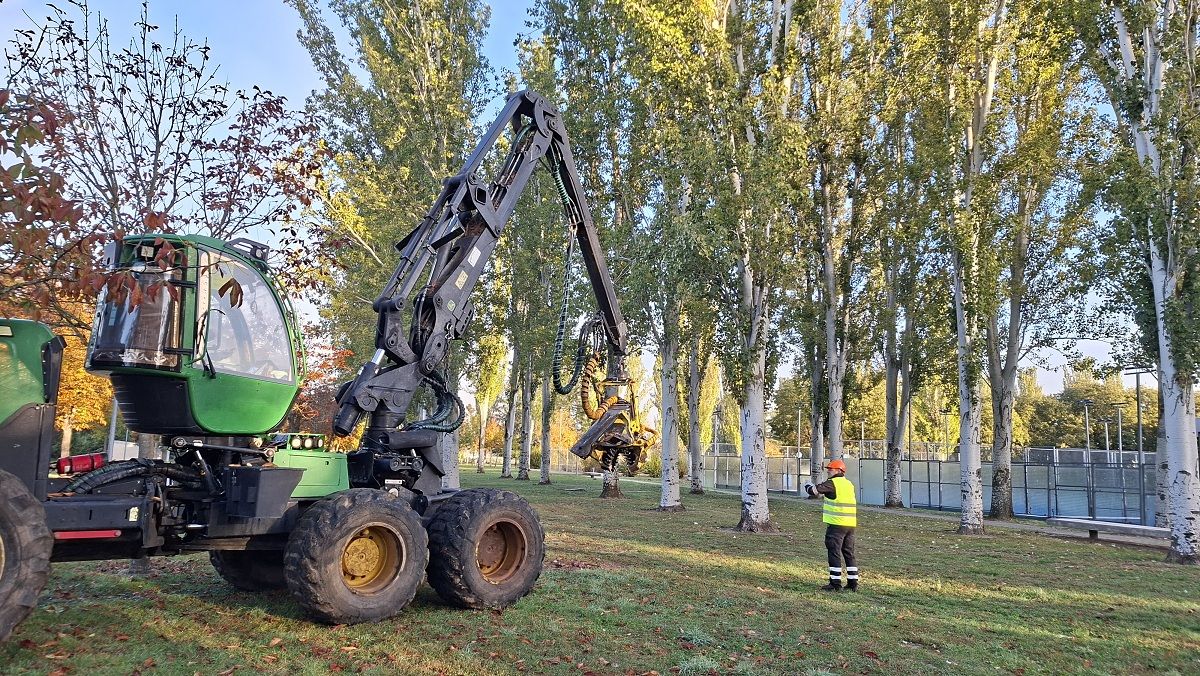 Una máquina forestal trabaja entre árboles junto a una persona con chaleco reflectante.